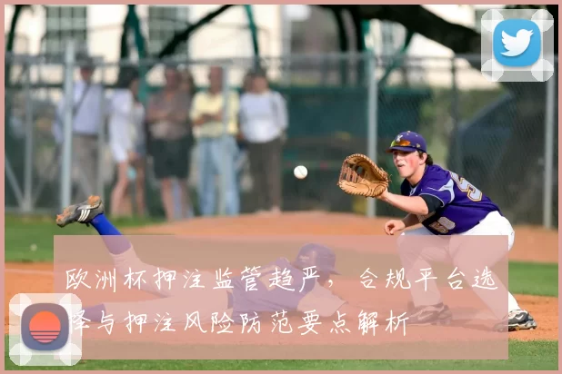 欧洲杯押注监管趋严，合规平台选择与押注风险防范要点解析