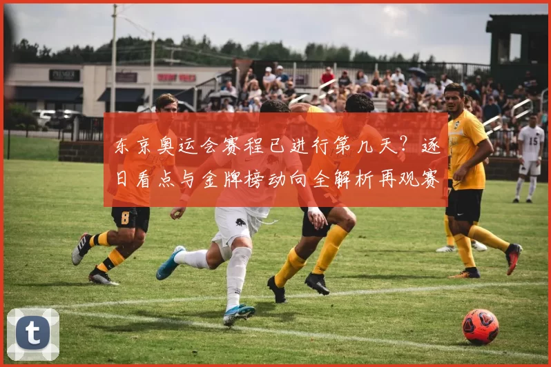 东京奥运会赛程已进行第几天？逐日看点与金牌榜动向全解析再观赛场氛围