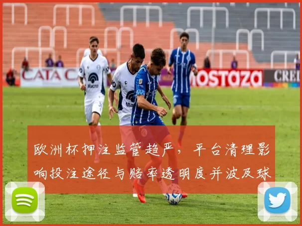 欧洲杯押注监管趋严，平台清理影响投注途径与赔率透明度并波及球迷