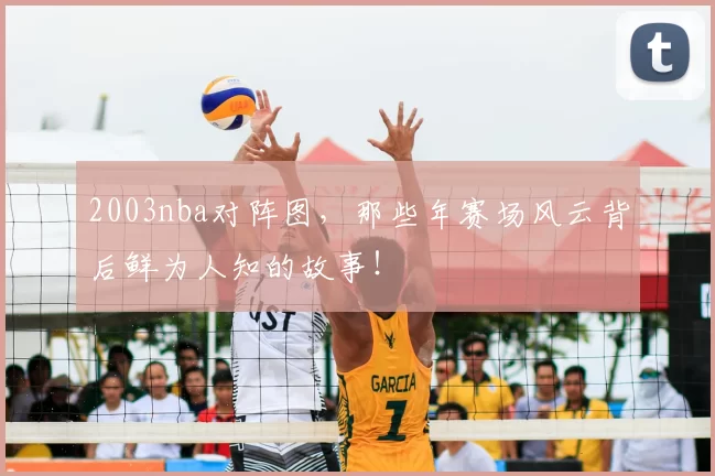 2003nba对阵图，那些年赛场风云背后鲜为人知的故事！