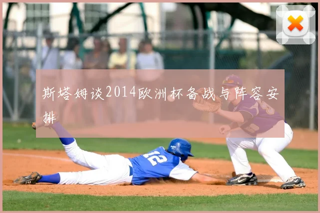 斯塔姆谈2014欧洲杯备战与阵容安排