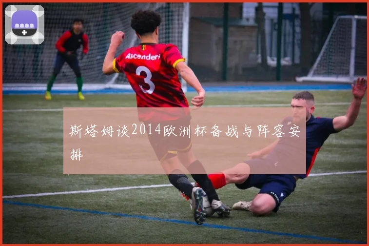 斯塔姆谈2014欧洲杯备战与阵容安排