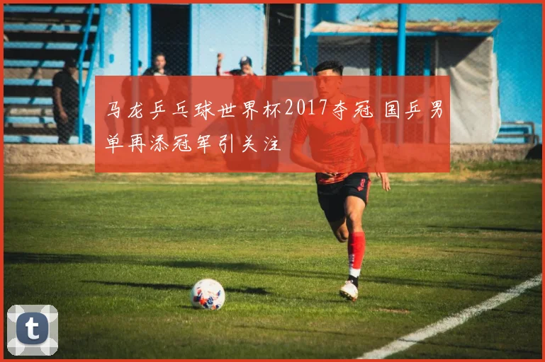 马龙乒乓球世界杯2017夺冠 国乒男单再添冠军引关注